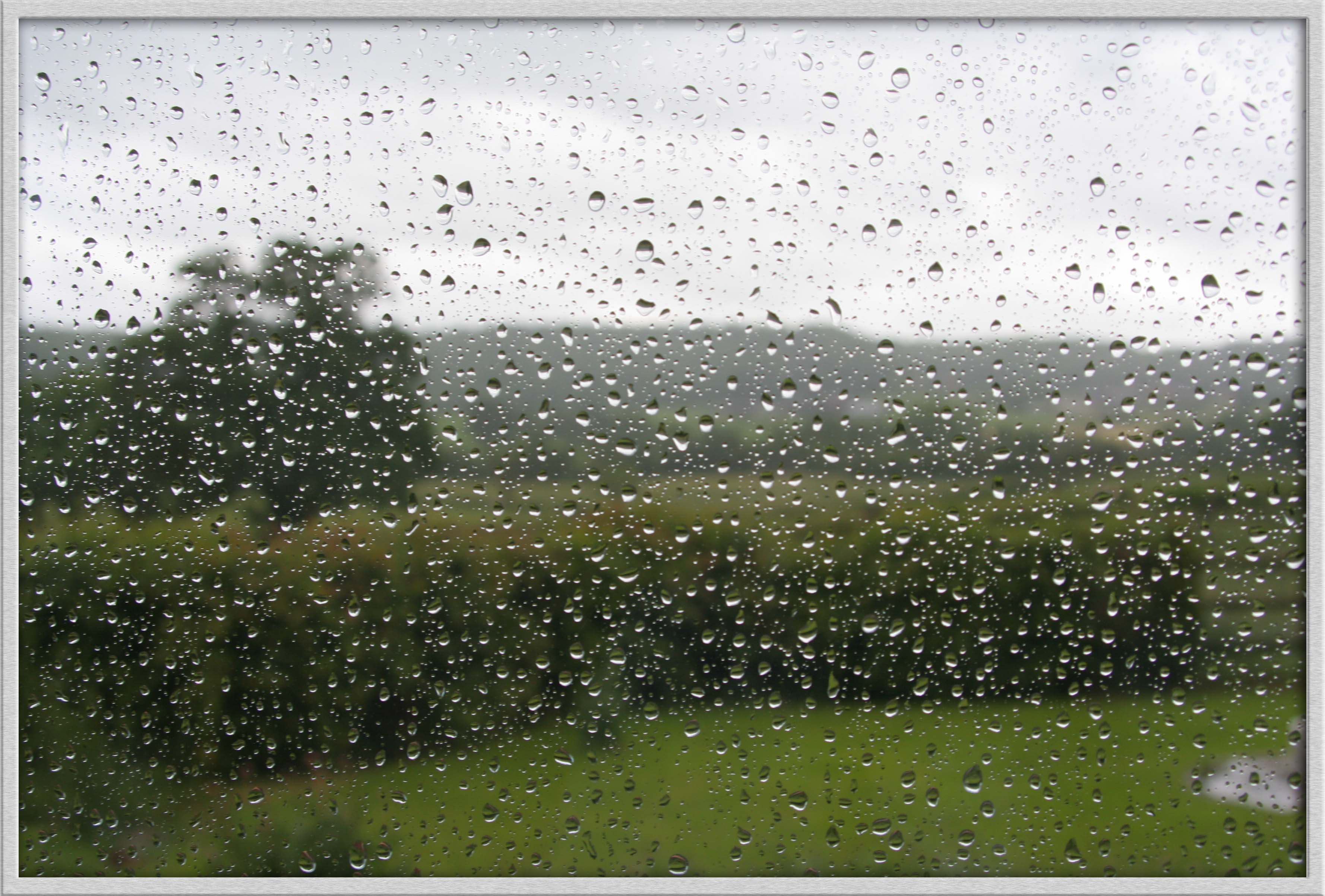 Рясный парной дождик. Дождь. Явления природы дождь. Моросящий дождь. Ливень стеной.