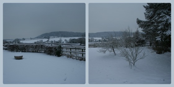 Winter views