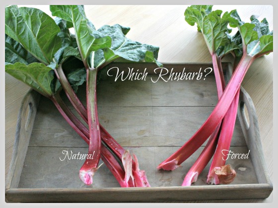 Compare The Rhubarb